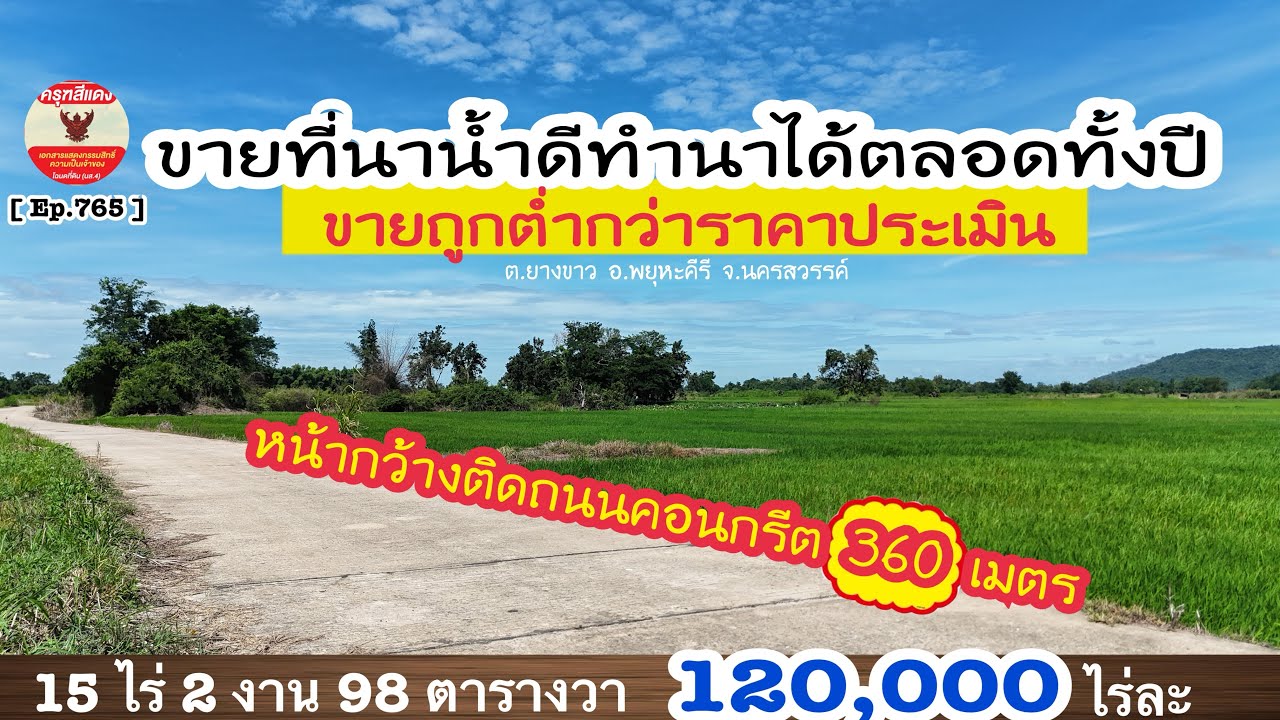 [ Ep.765 ] ขายที่นาน้ำดี ทำเกษตรได้ทั้งปี 15 ไร่ 2 งาน 98 ตารางวา ขายต่ำกว่าราคาประเมิน