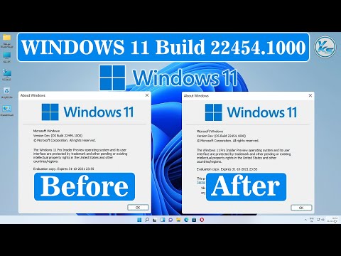 windows 11 build 22454 download