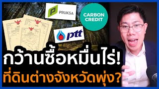 ที่ดินเกษตร ต่างจังหวัดเฮ! ยักษ์ไล่ซื้อหมื่นไร่ เทรนด์ปลูกป่า คาร์บอนเครดิตมาแรง ราคาพุ่ง?