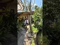 Ubud Writers and Readers Festival Brought Romantic Vibes | #travel #bali #ubud #festival #shorts