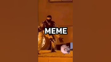 I Found Original Video Of Pug Dancing Meme💃