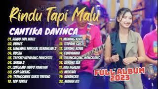 Cantika Davinca - Rindu Tapi Malu - Dumes - Rucah | Ageng Music | FULL ALBUM 2023