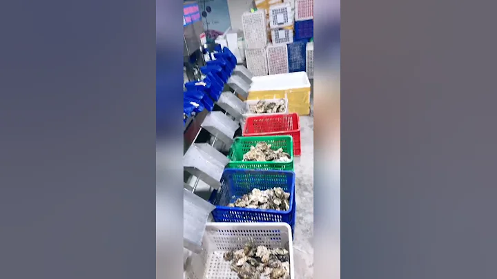 ASMR (COOKING & EATING)SPICY SEAFOOD(CRAB, SCALLOP, ABALONE, OCTOPUS, SHRIMP, SQUID, ENOKI MUSHROOM)