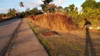 A Walk Through Lion Castle In St. Thomas Barbados🇧🇧 2