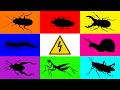 Insect: Mantis, Centipede, Snail, Stag Beetle, Shield bug, Cockroach, Grasshopper, Footed bug, Eel
