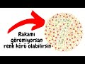 RENK KÖRLÜĞÜ TESTİ / POMEM / ASKERİYE / İSHİHARA TEST