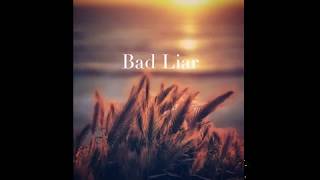 Bad Liar - Anna Hamilton (Lyrics)