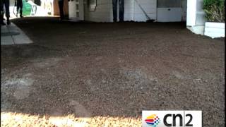 D. Wayne Lukas Has an Eye for Details