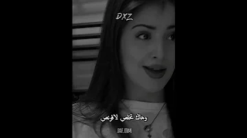 جيب العامر 