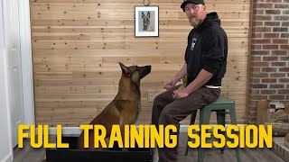 Clicker Training with My Belgian Malinois for FAST and CLEAR Position Changes