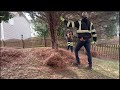 Pine Needles Install For my 12 Month Contact