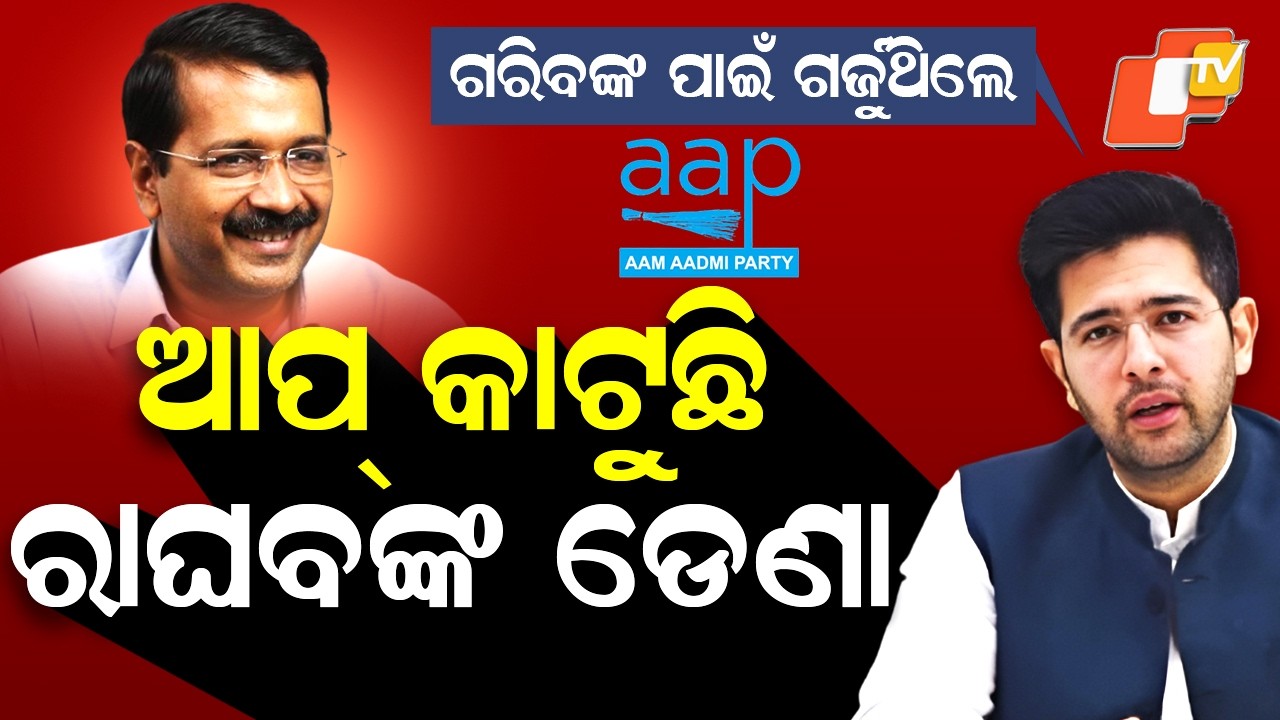 Special Story: AAP Rift Deepens: Raghav Chadha Loses Z+ Security Amid Party Dispute