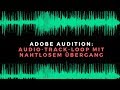 Audition: Audio-Track-Loop mit Nahtlosem Übergang