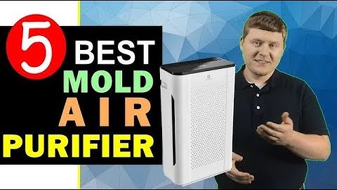 Best top rated air purifier for mold and asthma năm 2024