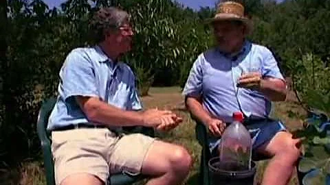 Interview on figs with Ray Givens (Gardening in Ge...
