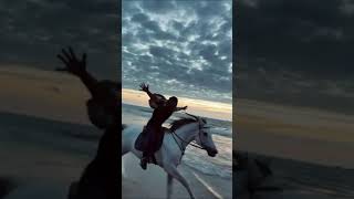 Horse Riding Status Unstoppable Horse Riding Videos