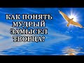 КАК ПОНЯТЬ МУДРЫЙ ЗАМЫСЕЛ ТВОРЦА