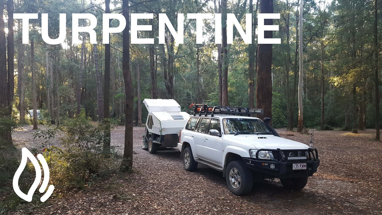Turpentine Campground Olney State Forest Nsw Youtube