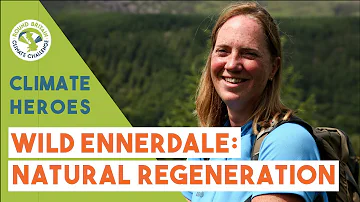 Returning to Nature: Natural Forest Regeneration at Wild Ennerdale