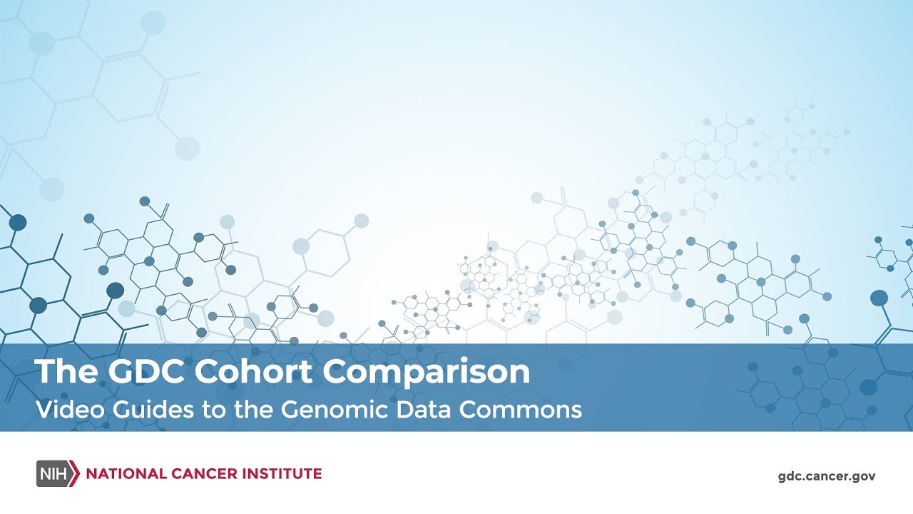 Support Nci Genomic Data Commons