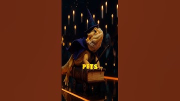 Scales & Spells: Lizard Wizard #halloweenmusic