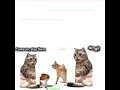 hehe:)#catmemes #capcutedit