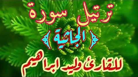 ترتيل سورة الجاثية للقارئ وليد ابراهيم
