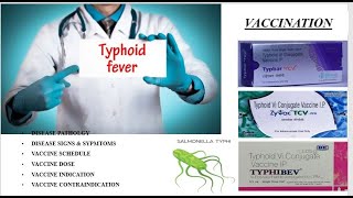 Typhoid Vaccination-Indications/Typhoid Fever