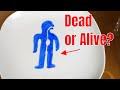 Can Life Exist in 2 Dimensions Instead of 3D? Amazing 2D Life Test!