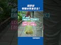 塑膠袋哪種材質最安全 PP LDPE HDPE一次看懂哪種最耐熱 Shorts 塑膠袋哪種材質最安全 PP LDPE HDPE一次看懂哪種最耐熱 Shorts