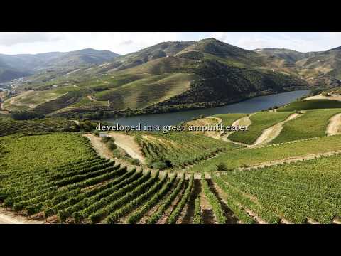 Quinta de Ventozelo - Intro