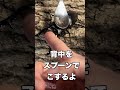 クワガタに挟まれた時背中をスプーンでこすると離してくれるのか？