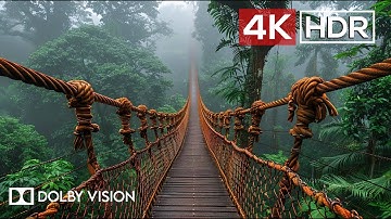 Green AMBIENCE DOLBY VISION 4K HDR - So Real You