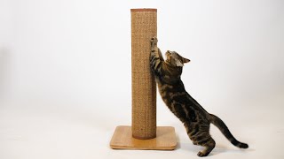 How to build the Switch Cat Scratcher