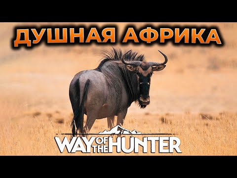 WAY OF THE HUNTER ПРОХОЖДЕНИЕ ► НОВАЯ КАРТА TIKAMOON PLAINS - АФРИКА ► СИМУЛЯТОР ОХОТЫ ► RTX 4090 #2