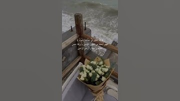 {إنا المتقين في جنات وعيون...} تلاوة هادئة ❤️