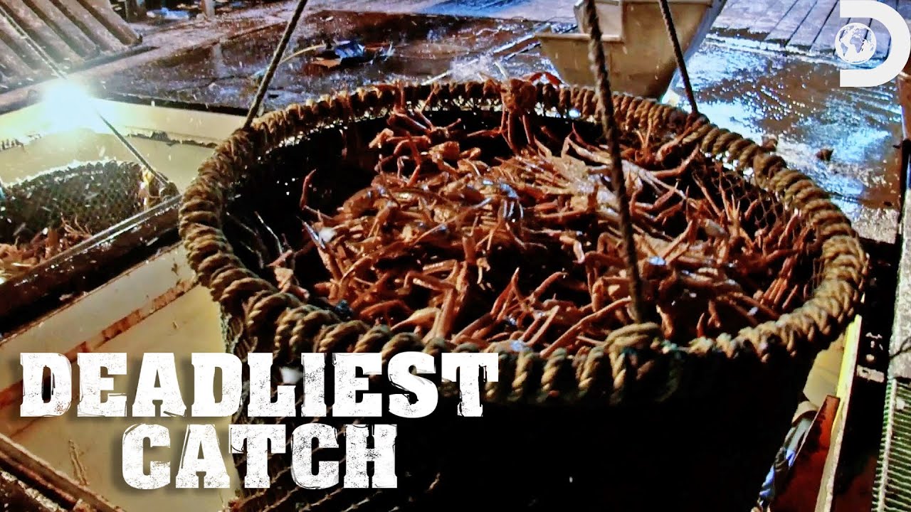 Documentary backdrop image for A Crew Member's Infected Hand Jeopardizes Their Quota (2023)
