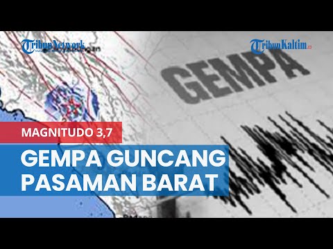 Gempa Terkini Magnitudo 3,7 Guncang Pasaman Barat