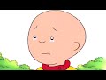 Caillou is Lonely | Caillou Cartoon