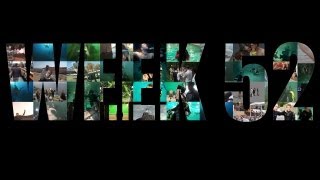 UWR Week 52 - ONE YEAR TODAY!