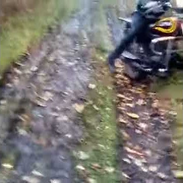 Альфа кросс - YouTube