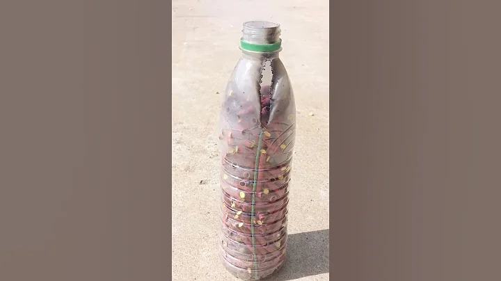 The video feature bringsentertainment.#crek#youtubeshorts#@jjuxperiment#0108