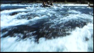 The River Wild - Trailer