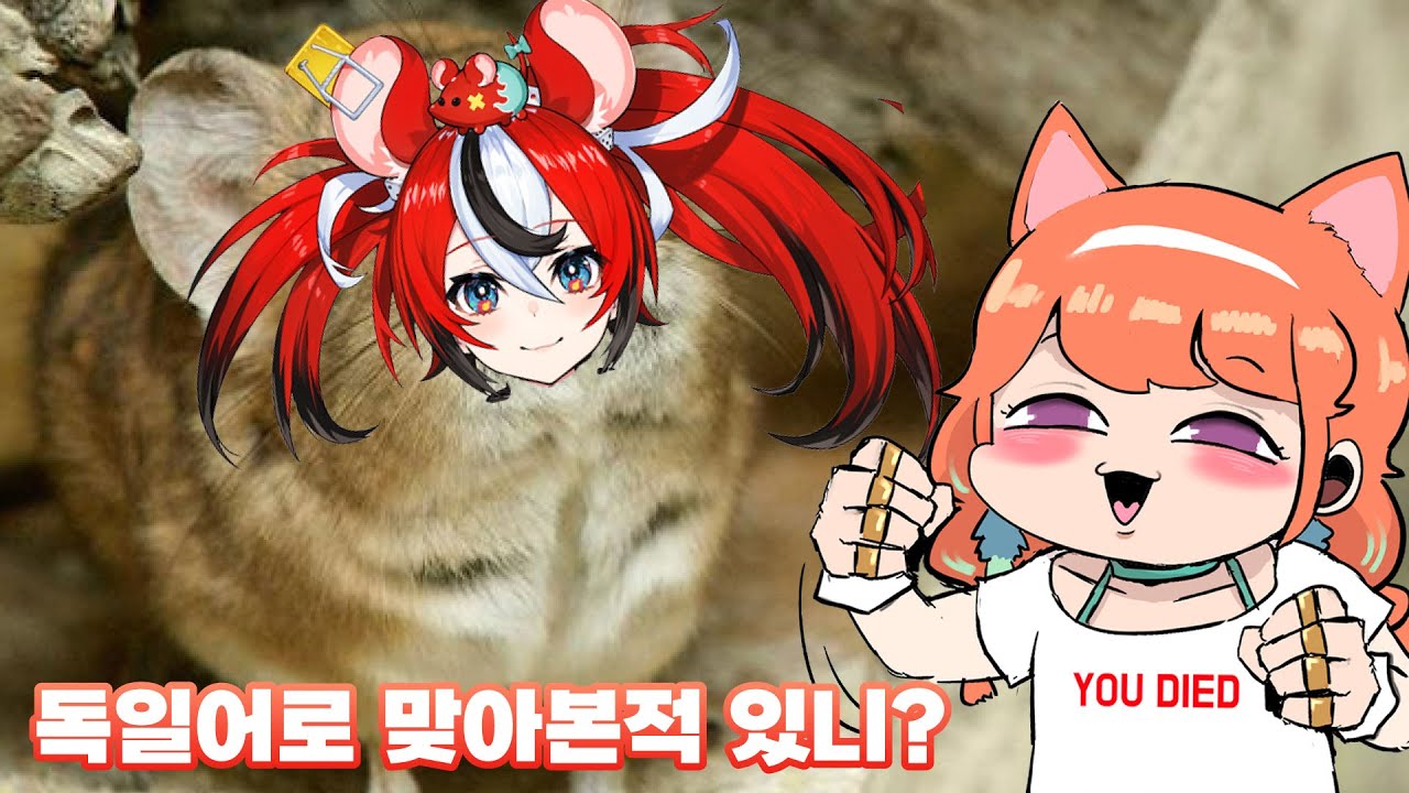 땃쥐와 불닭은 사용하는 언어가 달라요 [Mouse and Chicken speak different languages(Takanashi Kiara & Baelz Hakoz)]