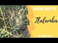 Highlights Tlalamba leopardess 28th April 2021