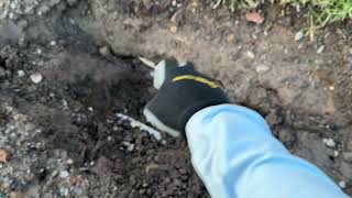 Air spade and the east lawn project. 