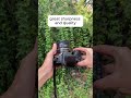 cheapest lens ever for canon