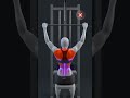 🔥 The Right Way to Do Lat Pulldowns – No More Mistakes
