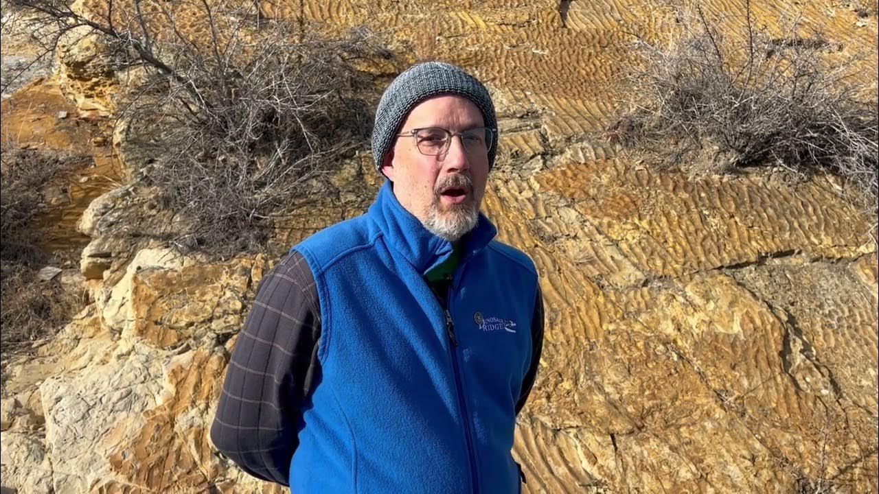 Colorado Gives Day 2022 YouTube