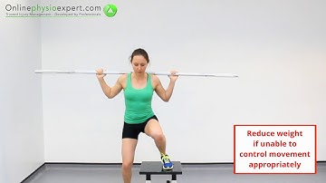 Alternate Lateral Step Up Exercise Tutorial (Level 3) - ONLINE PHYSIO EXERCISES